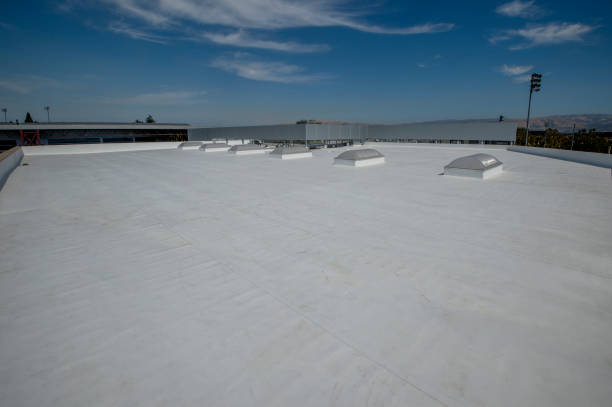 Best Gutter Installation and Repair  in Hayti, PA