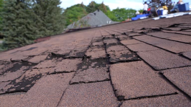 Reliable Hayti, PA Roofing Service Solutions