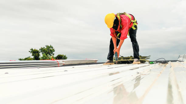 Best Steel Roofing  in Hayti, PA